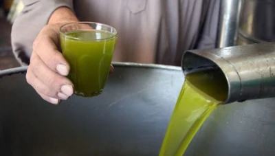 تحـديـات وأسعار زيت الزيتون: بين التصدير والاحـتـكار في موسم الإنتاج الحالي