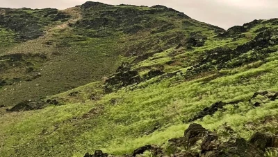 بالفيديو.. اكتساء جبال مكة المكرمة بالأخضر قيل عنه أنه من علامات الساعة