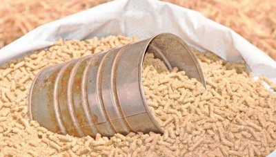 زيادة أسعار المواد العلفية تزامناً مع زيادة الرواتب وتأثير ارتفاع أسعار الوقود