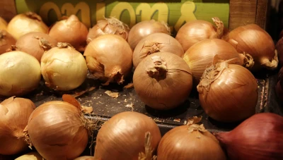 ماذا يحدث لجسمك عند تناول البصل تعرف على فوائده