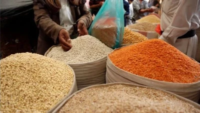 خبير يحذر من أزمة غذائية كبيرة