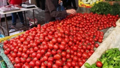 مسؤول: البندورة للمستهلكين الاستثنائيين وليست لعامة الشعب!!