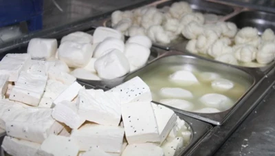 الحكومة السورية تدرس رفع أسعار الألبان والاجبان