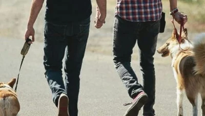 الحكومة السورية في وادٍ والسوريون في وادٍ آخر... ضبوط جديدة لمخالفة الكلاب