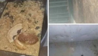 جديد سوريا... حلويات ومعجنات محشية بالحشرات