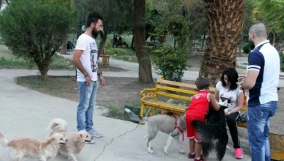 البدء بتسجيل الكلاب الخاصة وتحدد قيمة الرسوم والمخالفات