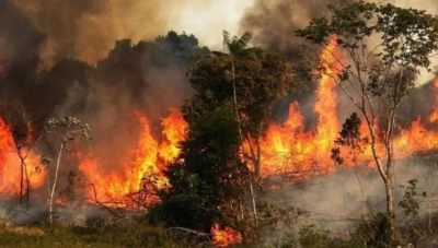 تحـ.ـذير... مؤشرات خطـ.ـورة الحرائق ترتفع في بعض المواقع الساحلية