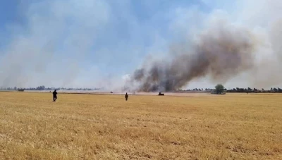 إخماد حريق زراعي في حقول القمح والشعير بقرية تل حديا