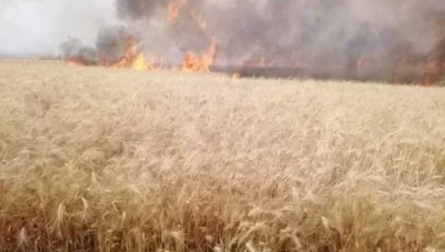 حريق كبير في محصول القمح بسوريا (صور)