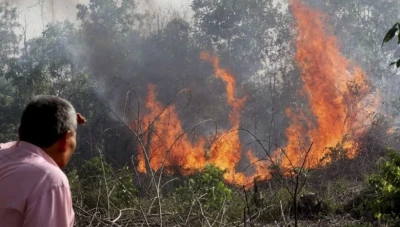 غابات سوريا تحت تأثير مؤشرات خطورة مرتفعة