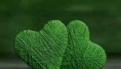 زاوية جميلة عن القلب الأخضر عند الرجل