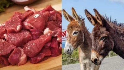 لحم الحمير يُباع في مطاعم دمشق