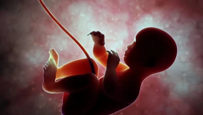 تقنية جديدة للكشف عن الأمراض الخلقية لدى الأجنّة