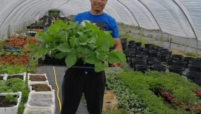 بعد أن اصابه مرض خبيـ.ـث لاجئ سوري بدأ مشروعه الخاص لكسب لقمة عيشه (صور)