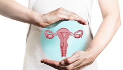 المدة الزمنية التي تعيش الحيوانات الذكرية في الرحم