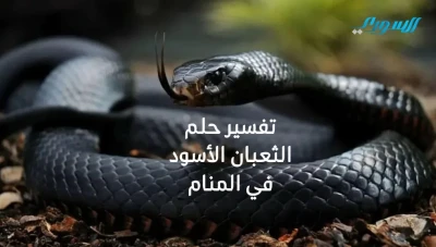 تفسير حلم الثعبان الأسود