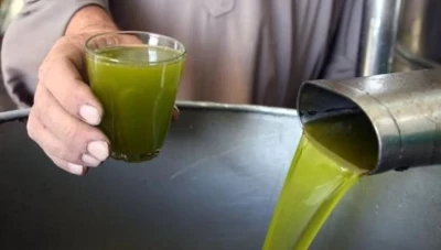 تلميح بارتفاع أسعار زيت الزيتون
