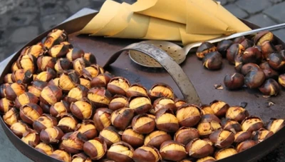 ما معنى رؤية الكستناء في الحلم؟