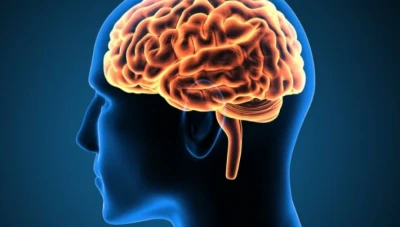 عادات سيـ.ـئة تـ.ـدمر الدماغ