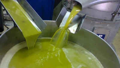 تصدير زيت الزيتون من سوريا: تحويل الأزمـة إلى فرصة لتأمين العـملة الصـعبة