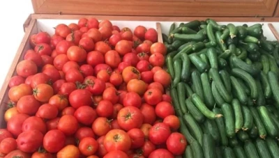 البندورة والخيار يتجاوزان 1200 ليرة للكيلو في درعا