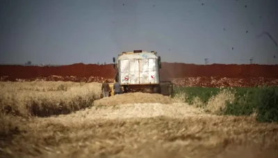 كيف تغيّر عودة الزراعة في الجزيرة السورية أسعار الغذاء وفرص العمل؟