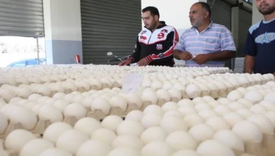 غرف الزراعة: مقدار الفرد في سوريا 154 بيضة سنوياً !