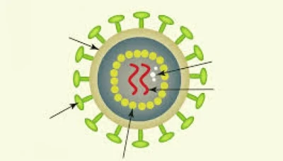 روسيا تستخدم فيروس فسيفساء التبغ لمكافحة كورونا.. وأول لقاح خلال 3 أشهر