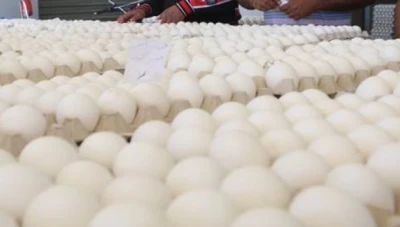 البيض ينخفض سعره ويقترب من ال 4000