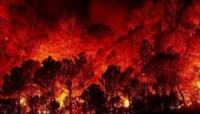 اتحاد الفلاحين: التعويض فقط للمتضررين من الحرائق التي حصلت بفعل حرارة المناخ