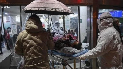 "لحم السلاحف" يساعد على الشفاء من الكورونا