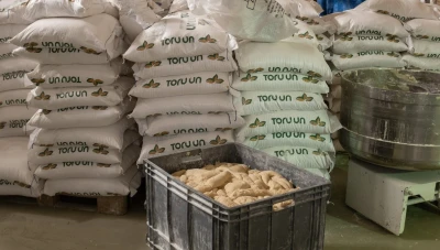 تركيا تستعد لتصدير 400 ألف طن دقيق إلى سوريا في 2025.. ارتفاع قياسي بالأسواق السورية