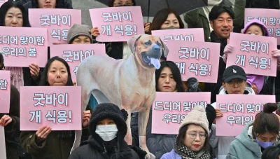رسمياً كوريا الجنوبية تمنع تجارة لحوم الكلاب