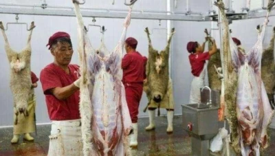 BBC: الصين تخوض معركة حاسمة ضد المنتجات الحلال