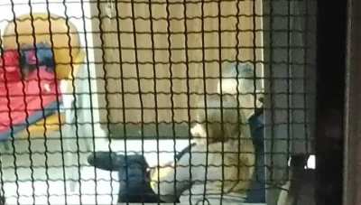 عناق وقبلات ساخنة في العمل.. مسؤول رياضي سوري يحال للتحقيق (صور)