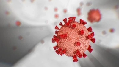 هرمون يتعرض له الذكور في الرحم قد يحميهم من الموت بـ”كوفيد-19″