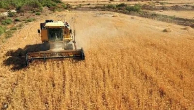 سوريا تسعى لتحـقـيق الاكـتفاء الذاتي من القمح وتـعزيز حصتـها من مياه دجلة والفرات