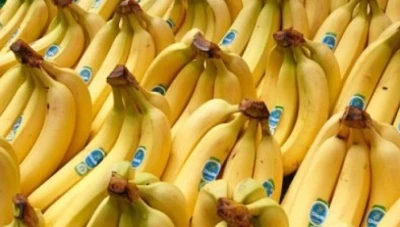 بعد استيرادها... رفض إدخال 100 طن موز إلى سوري والمستورد يحولها إلى سوق لبنان