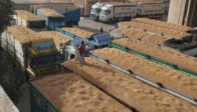 أكثر من 212 ألف طن قمح سوري في موسم 2025 رغم تحديات التخزين والنقل