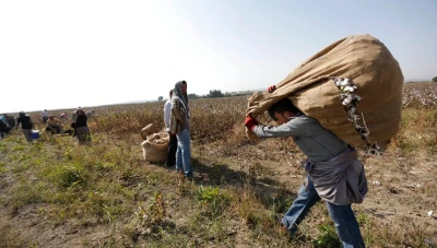العمالة التركية تجتاح الفجوة بالاستعانة بلاجئين سوريين في القطاعات المختلفة