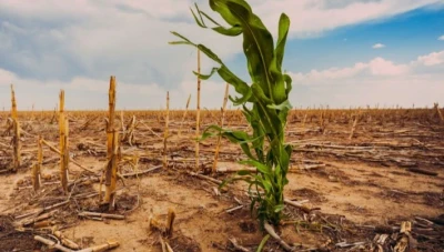 تغير المناخ وتأثيره على الزراعة العالمية