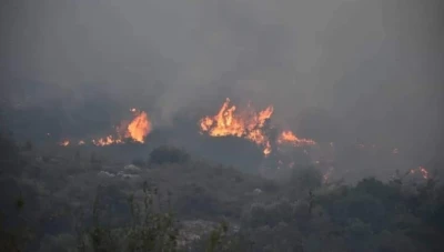 سوريا..حرائق الغاب و اللاذقية تقضي على نحو 8 آلاف دونم من الأشجار