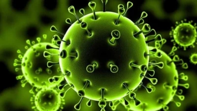 أول صورة حقيقية لفيروس كورونا تظهر أدق التفاصيل التي لا تصدق عنه