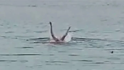 قرش يبـتلع سائح روسي (صور)