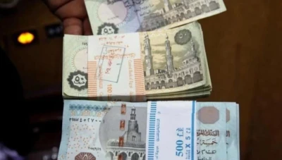 العملات العربية تواجه انهـ.ـياراً كبيراً