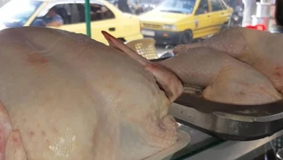 قفزة كبيرة في أسعار الفروج في سوريا