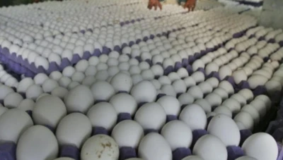 موجة غلاء جديدة تضرب الأسواق السورية وأسعار البيض والأجبان