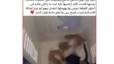 غضب عارم على مواقع التواصل بعد انتشار فيديوهات مروعة لـ"سفاح القطط"