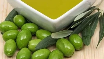 توقف تصدير زيت الزيتون: أسبابه وتأثيراته المحتملة على الإنتاج والأسعار