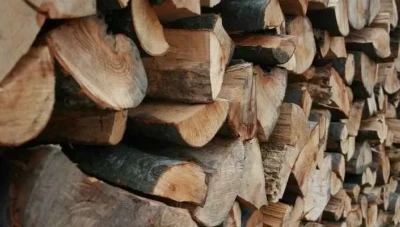 وزارة الزراعة تسـمح باسـتيـراد الحطـب للحـد من التعـديـات على الغـ.ـابات